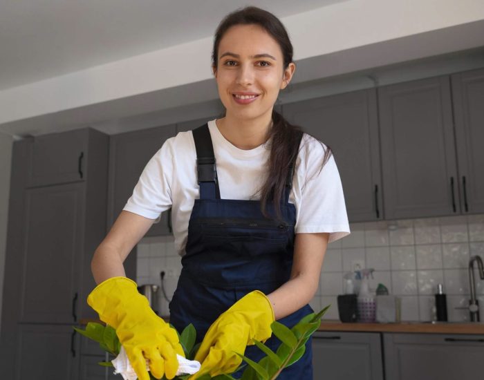 Seguro para empleados domésticos